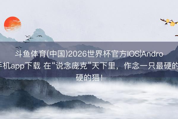 斗鱼体育(中国)2026世界杯官方IOS|Android手机app下载 在“说念庞克”天下里,作念一只最硬的猫!
