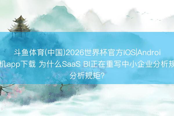 斗鱼体育(中国)2026世界杯官方IOS|Android手机app下载 为什么SaaS BI正在重写中小企业分析规矩？