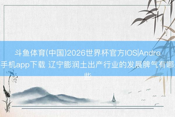 斗鱼体育(中国)2026世界杯官方IOS|Android手机app下载 辽宁膨润土出产行业的发展脾气有哪些