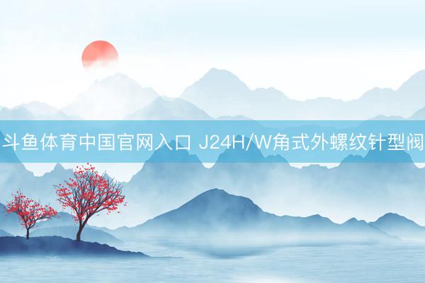 斗鱼体育中国官网入口 J24H/W角式外螺纹针型阀