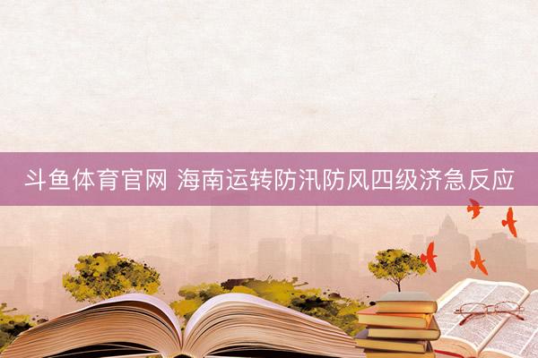 斗鱼体育官网 海南运转防汛防风四级济急反应