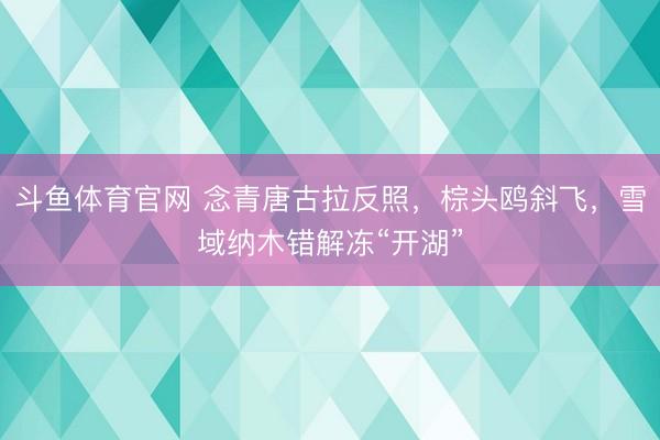 斗鱼体育官网 念青唐古拉反照,棕头鸥斜飞,雪域纳木错解冻“开湖”