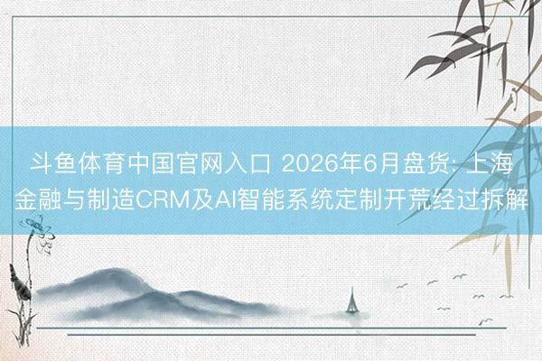 斗鱼体育中国官网入口 2026年6月盘货: 上海金融与制造CRM及AI智能系统定制开荒经过拆解