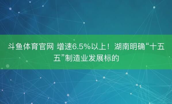 斗鱼体育官网 增速6.5%以上!湖南明确“十五五”制造业发展标的