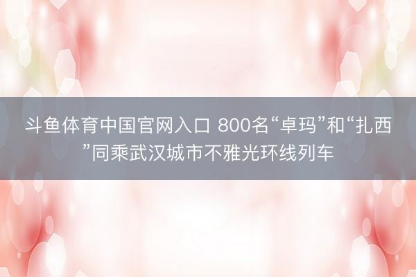 斗鱼体育中国官网入口 800名“卓玛”和“扎西”同乘武汉城市不雅光环线列车