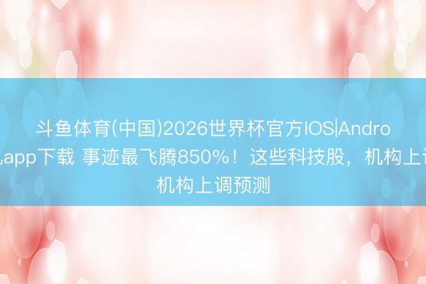 斗鱼体育(中国)2026世界杯官方IOS|Android手机app下载 事迹最飞腾850%!这些科技股,机构上调预测