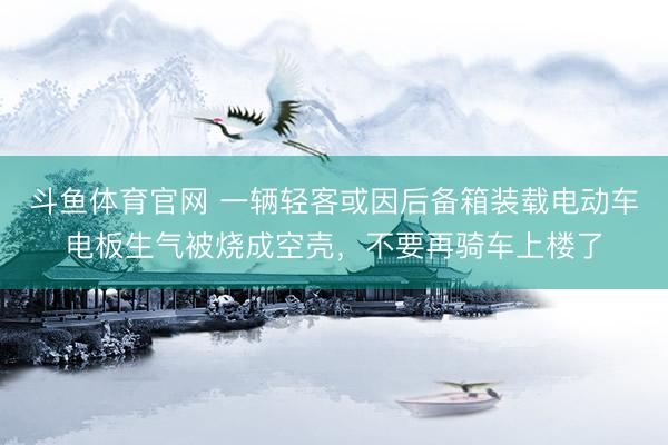 斗鱼体育官网 一辆轻客或因后备箱装载电动车电板生气被烧成空壳,不要再骑车上楼了